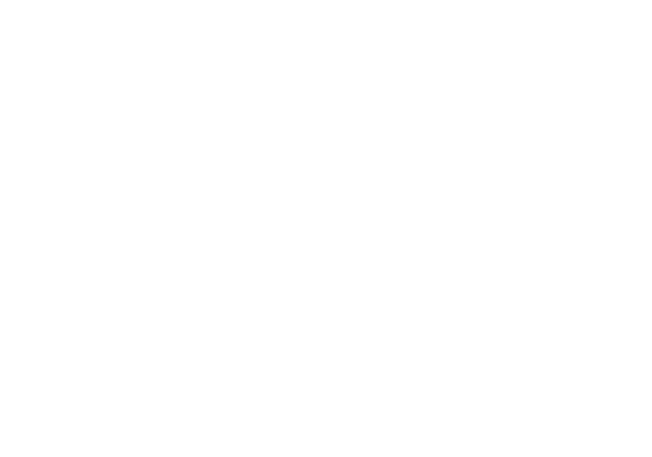 SenSiC – Next Gen Beam Diagnostics